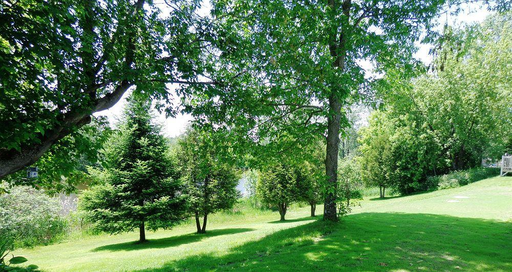 Motel Des Deux Lacs Waterloo Εξωτερικό φωτογραφία
